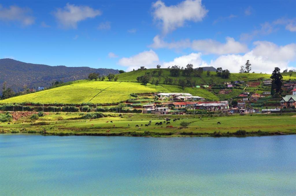 Firsmead Villa Nuwara Eliya Eksteriør bilde